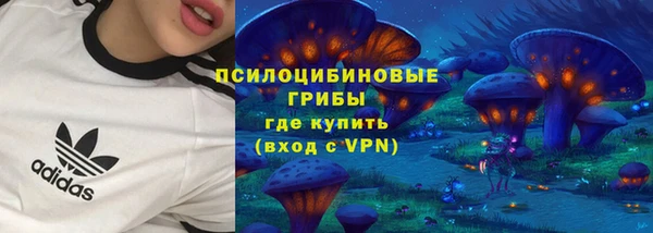 PSILOCYBIN Алексеевка