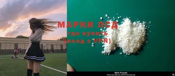 прущие грибы Новодвинск