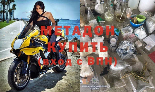 прущие грибы Новодвинск