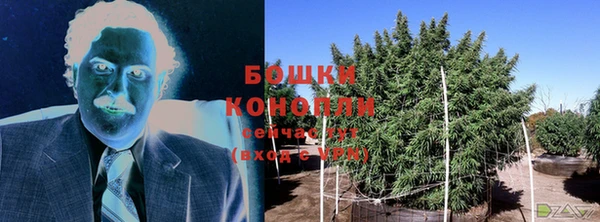 PSILOCYBIN Алексеевка